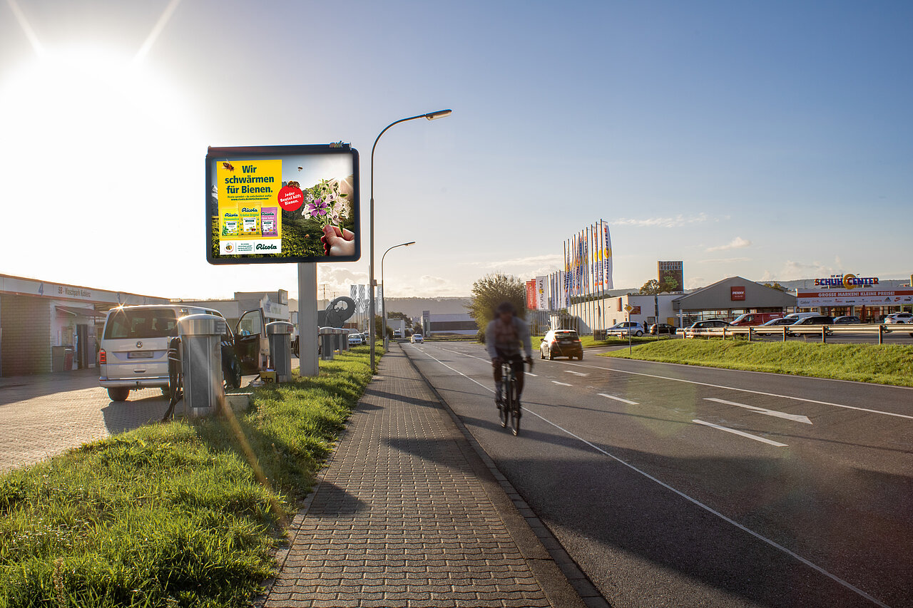 Großplakat mit der Aufschrift „Wir schwärmen für Bienen“ an einer Straße mit vorbeifahrenden Autos, einem Radfahrer und Geschäften im Hintergrund bei Sonnenuntergang.
