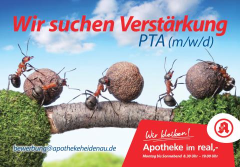 Plakatmotiv; Stellenanzeige der Apotheke im real,- in Heidenau. Vier Ameisen tragen gemeinsam eine Last, darüber Text: 'Wir suchen Verstärkung – PTA (m/w/d)'. Bewerbung per Mail