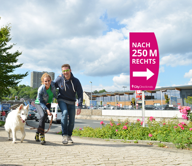 Hinweisschild: Nach 250 M rechts; Pfeil nach rechts